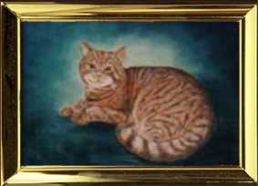 oelbild von dieter stopka,hauskater max