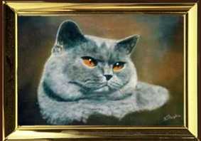 oelbild von dieter stopka,kart�userkater1