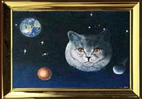 oelbild von dieter stopka,katze im all